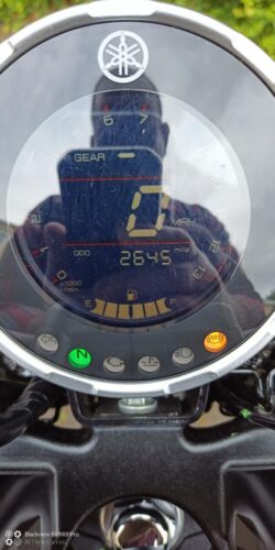 Yamaha, XSR125, 2022, 124 (cc)