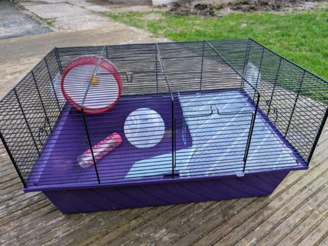 Large Hamster Cage