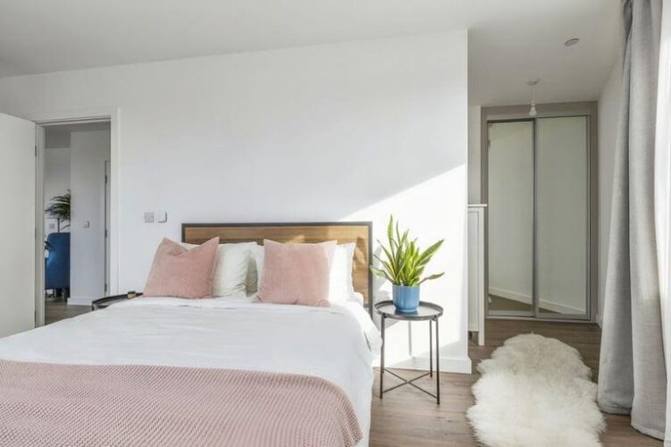Various rooms for rent