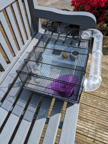 Hamster Cage