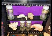 Apothecary Cabinet/ Spice cabinet