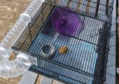 Hamster Cage