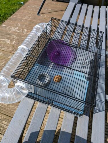 Hamster Cage