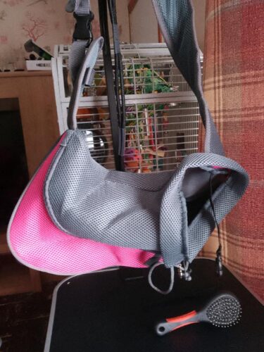 Puppy Carrier