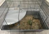 Bunny with food,cage,hay, playpen