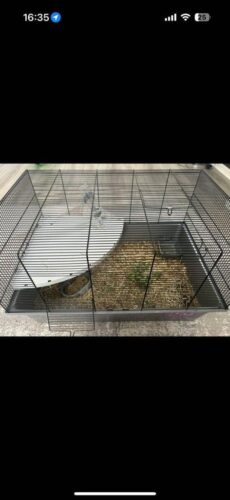 Bunny with food,cage,hay, playpen