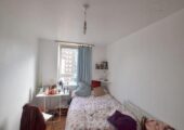 Various rooms for rent