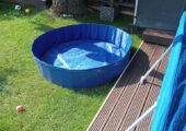 Range dog pool