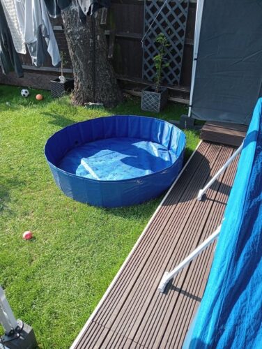Range dog pool