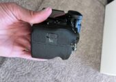 Sony FE 200-600mm f5.6-6.3 G OSS