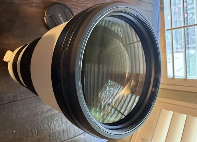 Sony FE 200-600mm f5.6-6.3 G OSS