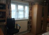 Room to let for a single female.