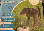 Brand new Dog water fountain