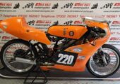 BSA Goldstar Highland Green 2024