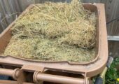 Dog bed. 25. Pine.