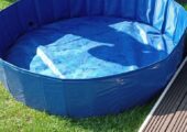 Range dog pool