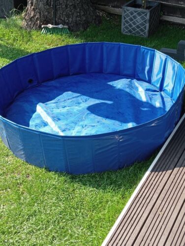 Range dog pool