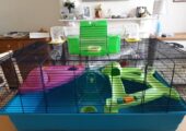 Grooming Table – used