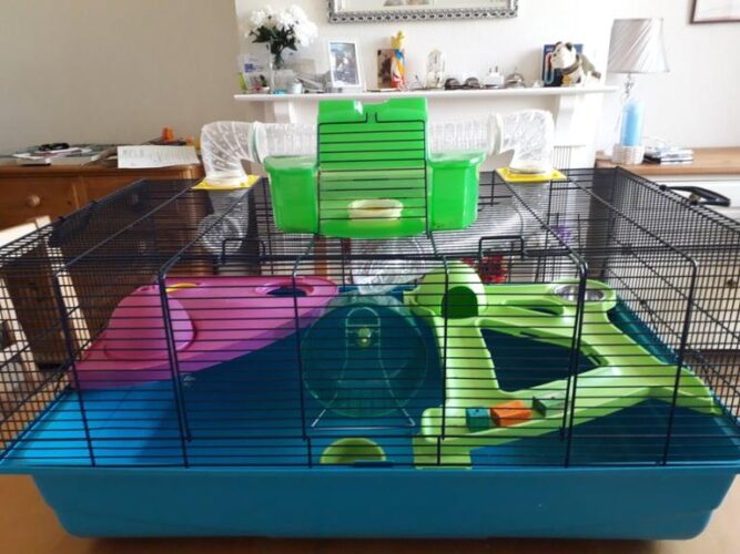 Pet cages/ guinea pig/small rabbit