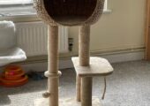 Cat Activity Tree