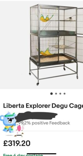 Cat  items bundle