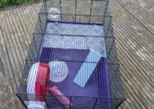 Large Hamster Cage