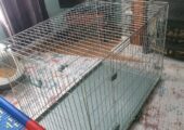 105cm length dog container/cage