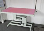 Professional Large Hydraulic Dog Grooming Table