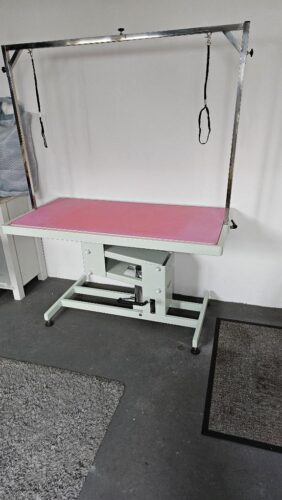 Professional Large Hydraulic Dog Grooming Table