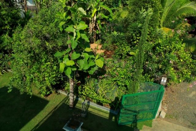 One Bed fully furnished studio villa for short term rent Eroor, Kochi