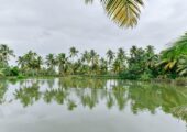 Fully Furnished 2 BHK house for daily rent near Aster Medicity, Cochin